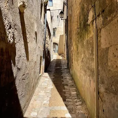 Superbe T3 Atypique Dans Le Quartier Historique